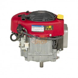 21R6070009H5; BRIGGS & STRATTON; Moteur vertical, 13,3 HP, monocylindre, série 3115, Briggs & Stratton; pièce detachée