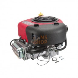 21R8070062B5; BRIGGS & STRATTON; Moteur vertical, 13,3 HP, monocylindre, série 3130, Briggs & Stratton; pièce detachée