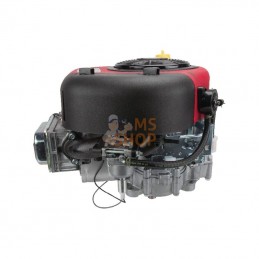 21R8070062B5; BRIGGS & STRATTON; Moteur vertical, 13,3 HP, monocylindre, série 3130, Briggs & Stratton; pièce detachée