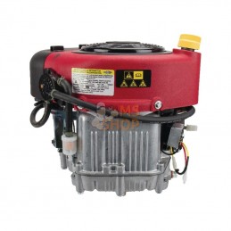 21R8070062B5; BRIGGS & STRATTON; Moteur vertical, 13,3 HP, monocylindre, série 3130, Briggs & Stratton; pièce detachée