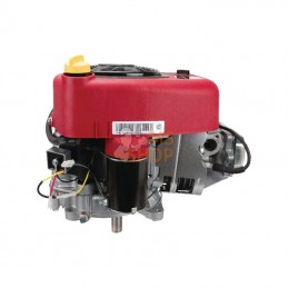 21R8070062B5; BRIGGS & STRATTON; Moteur vertical, 13,3 HP, monocylindre, série 3130, Briggs & Stratton; pièce detachée