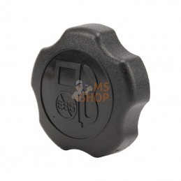 596472; BRIGGS & STRATTON; Bouchon de reservoir; pièce detachée