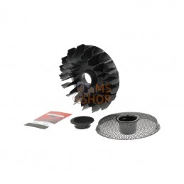 596832; BRIGGS & STRATTON; Ventilateur de volant; pièce detachée