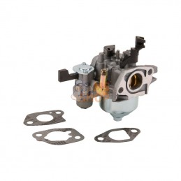 596079; BRIGGS & STRATTON; Carburateur; pièce detachée