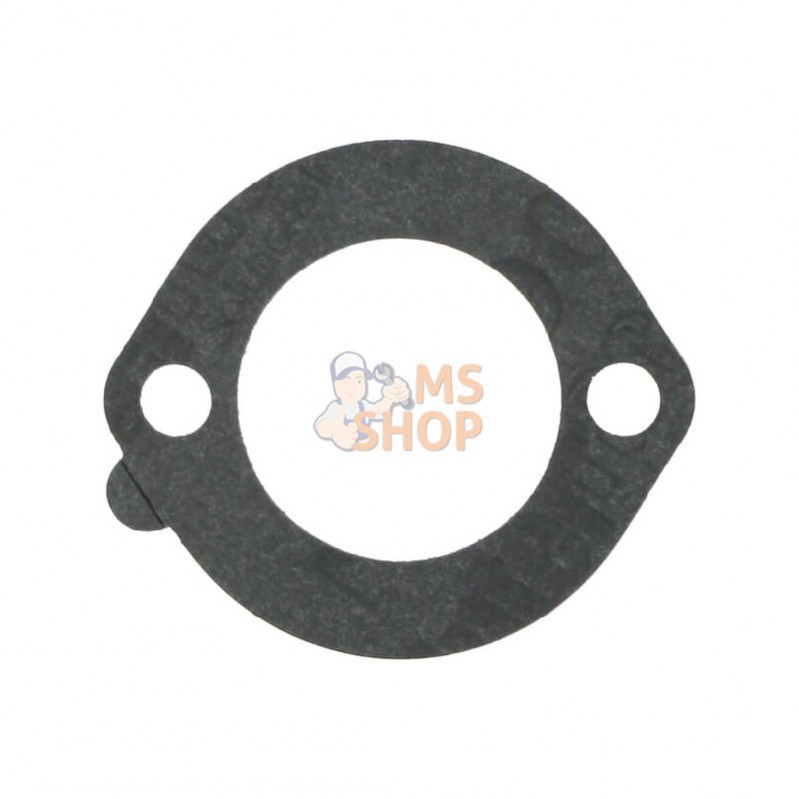 272948S; BRIGGS & STRATTON; Joint de filtre; pièce detachée