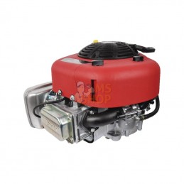21R6020008H5; BRIGGS & STRATTON; Moteur vertical, 11,4 HP, monocylindre, série 3115, Briggs & Stratton; pièce detachée
