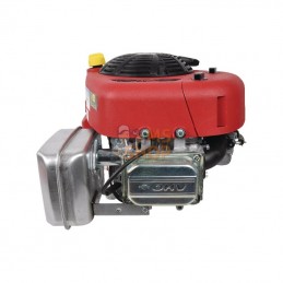 21R6020008H5; BRIGGS & STRATTON; Moteur vertical, 11,4 HP, monocylindre, série 3115, Briggs & Stratton; pièce detachée