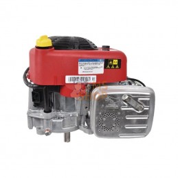 21R6020008H5; BRIGGS & STRATTON; Moteur vertical, 11,4 HP, monocylindre, série 3115, Briggs & Stratton; pièce detachée