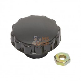 391908; BRIGGS & STRATTON; Bouton; pièce detachée