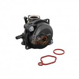 591110; BRIGGS & STRATTON; Carburateur; pièce detachée