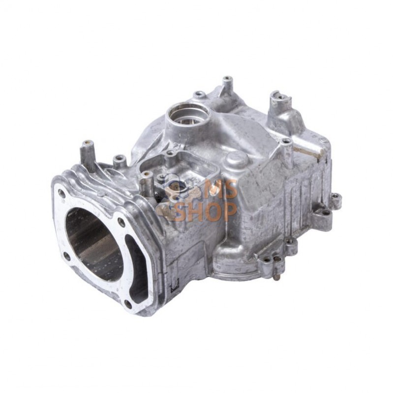 597120; BRIGGS & STRATTON; Assemblage de cylindre; pièce detachée 597120; BRIGGS & STRATTON; Assemblage de cylindre; pièce detachée