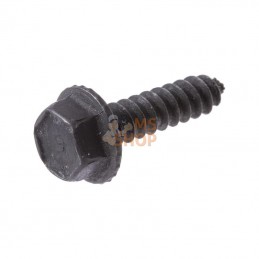 591103; BRIGGS & STRATTON; Vis; pièce detachée