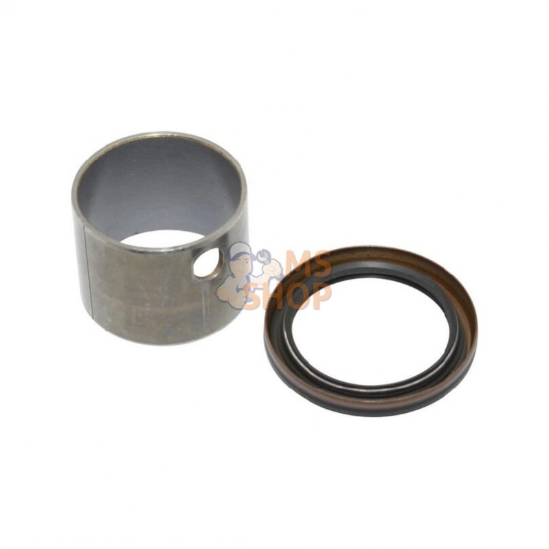 591010; BRIGGS & STRATTON; Jeu de douilles/joint; pièce detachée