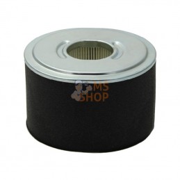 592605; BRIGGS & STRATTON; Filtre à air rond; pièce detachée