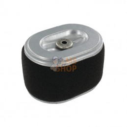 590601; BRIGGS & STRATTON; Filtre à air ovale; pièce detachée