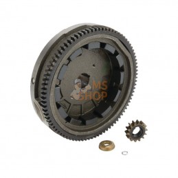 591760; BRIGGS & STRATTON; Volant d'inertie; pièce detachée