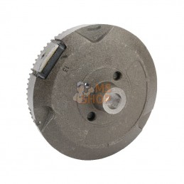 591760; BRIGGS & STRATTON; Volant d'inertie; pièce detachée