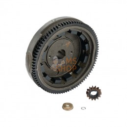 591759; BRIGGS & STRATTON; Volant d'inertie; pièce detachée