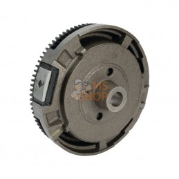591759; BRIGGS & STRATTON; Volant d'inertie; pièce detachée