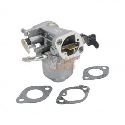 591678; BRIGGS & STRATTON; Carburateur; pièce detachée