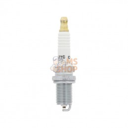 691043; BRIGGS & STRATTON; Bougie; pièce detachée