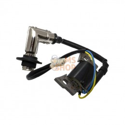 317436GS; BRIGGS & STRATTON; Bobine d'allumage B&S; pièce detachée