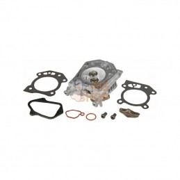 597561; BRIGGS & STRATTON; Culasse; pièce detachée