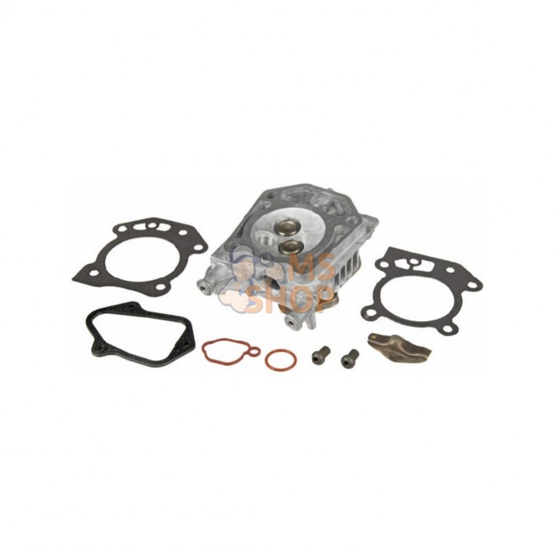 597561; BRIGGS & STRATTON; Culasse; pièce detachée