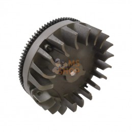 493456; BRIGGS & STRATTON; Volant d'inertie; pièce detachée