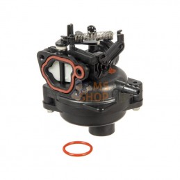 592361; BRIGGS & STRATTON; Carburetor; pièce detachée