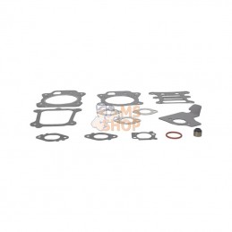 592174; BRIGGS & STRATTON; Jeu de joints; pièce detachée