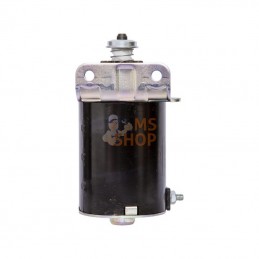 592599; BRIGGS & STRATTON; Démarreur électrique; pièce detachée