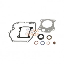 597320; BRIGGS & STRATTON; Jeu de joints-moteur; pièce detachée