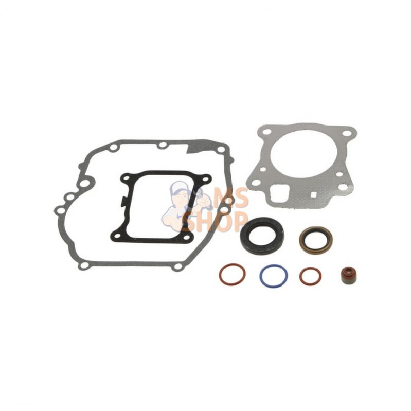 597320; BRIGGS & STRATTON; Jeu de joints-moteur; pièce detachée