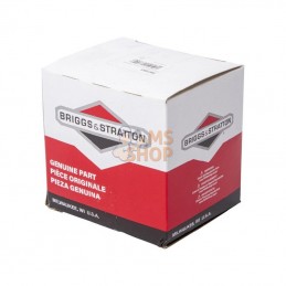 597203; BRIGGS & STRATTON; Module électronique; pièce detachée
