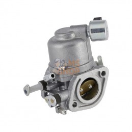 597128; BRIGGS & STRATTON; Carburateur; pièce detachée