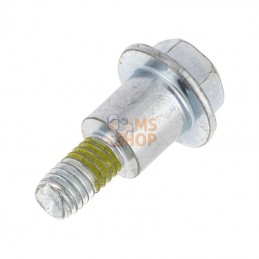 597133; BRIGGS & STRATTON; Vis; pièce detachée
