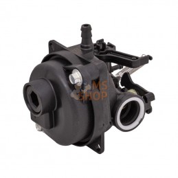 597269; BRIGGS & STRATTON; Carburateur; pièce detachée