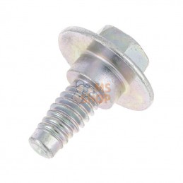 594618; BRIGGS & STRATTON; Screw; pièce detachée
