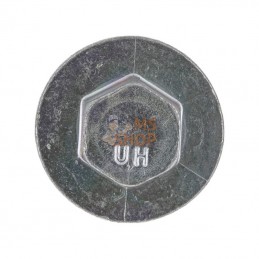 594618; BRIGGS & STRATTON; Screw; pièce detachée