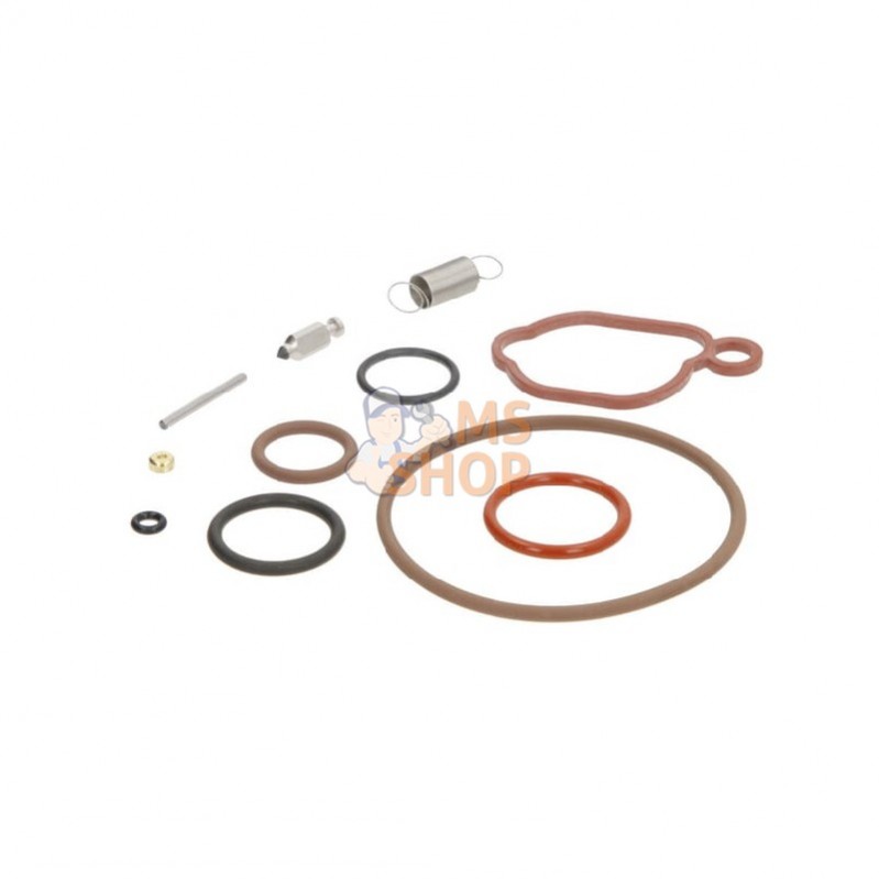 594636; BRIGGS & STRATTON; Kit de révision du carburateur; pièce detachée