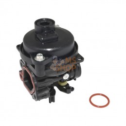 594796; BRIGGS & STRATTON; Carburateur; pièce detachée