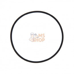 594861; BRIGGS & STRATTON; Joint; pièce detachée