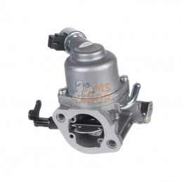 594207; BRIGGS & STRATTON; Carburateur; pièce detachée