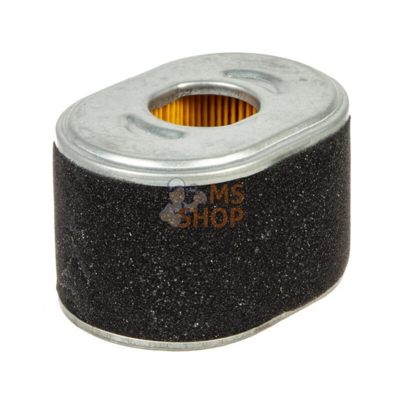 594146; BRIGGS & STRATTON; Filtre de purificateur d’air; pièce detachée