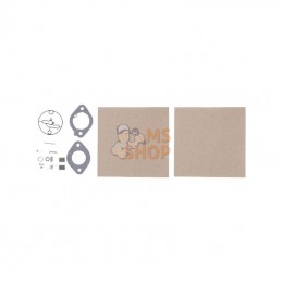 594212; BRIGGS & STRATTON; Kit de révision pour carburateur; pièce detachée