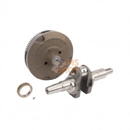 595094; BRIGGS & STRATTON; Volant d'inertie; pièce detachée
