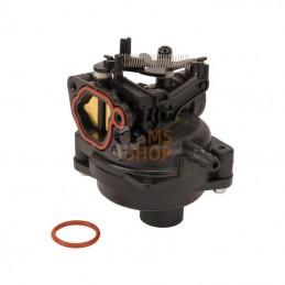 593297; BRIGGS & STRATTON; Carburateur; pièce detachée