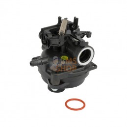 595489; BRIGGS & STRATTON; Carburateur; pièce detachée