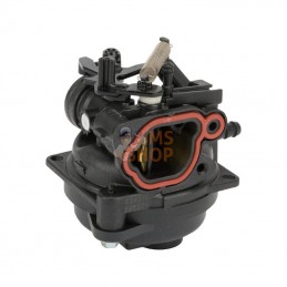 595489; BRIGGS & STRATTON; Carburateur; pièce detachée